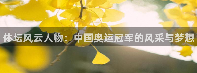 杏宇2代理注册