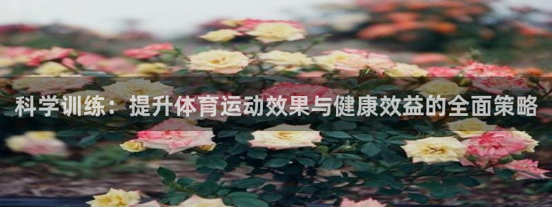 杏宇体育凯捷平台注册