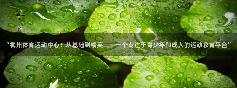 杏宇平台登录官网