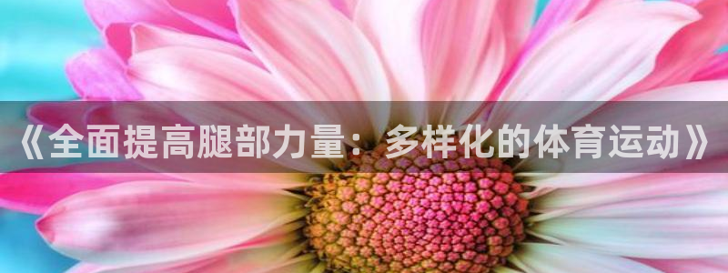 杏宇vk