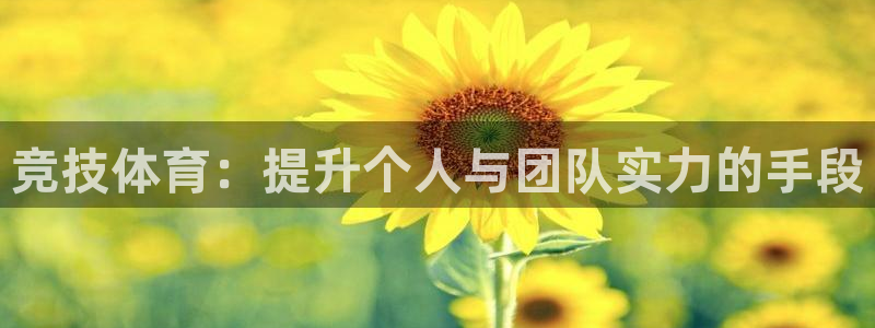 杏宇体育
