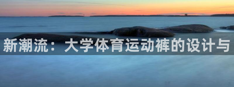 上海杏宇汽车电子有限公司
