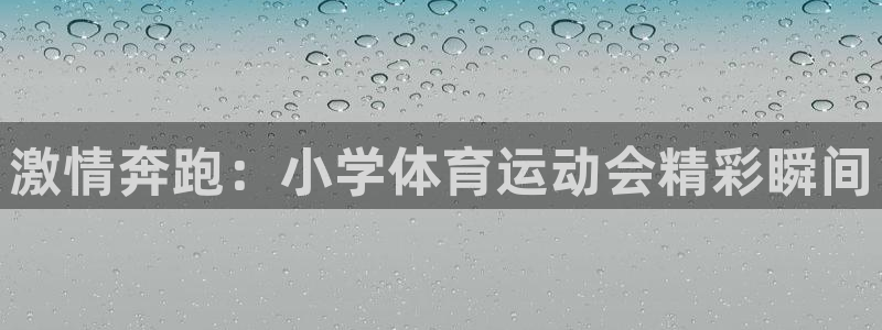 杏宇平台官网登录入口