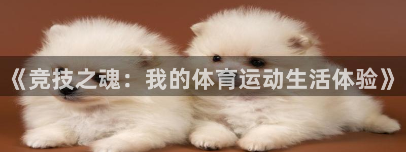 杏宇主管